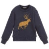Dsquared2 Boys Blue Cotton Sweatshirt