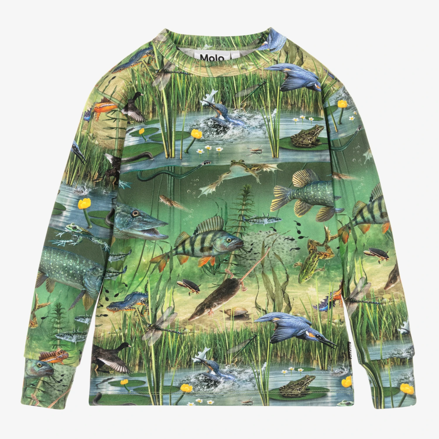 Molo Boys Green Cotton Pond Sweatshirt